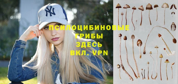 МДМА Белокуриха