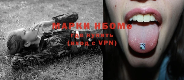 сатива Балахна